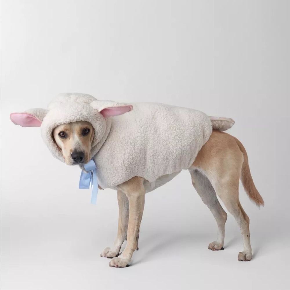Cozy Lamb Dog Costume - White and Pink